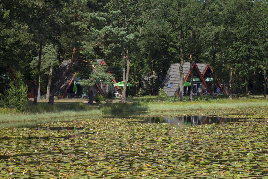'T Vosseven Vakantiehuizen Stramproy Rom bilde