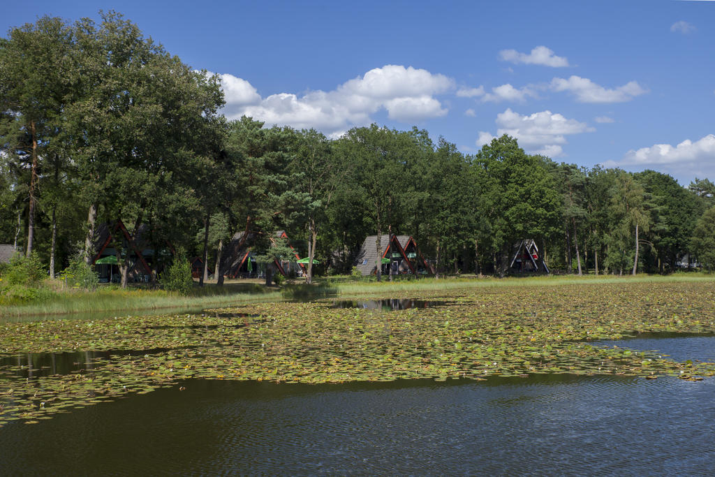 'T Vosseven Vakantiehuizen Stramproy Rom bilde